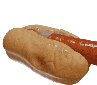 🌭
