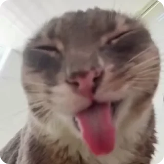 👅
