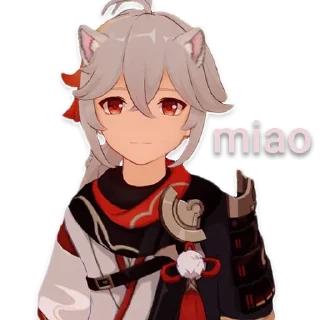 🐱
