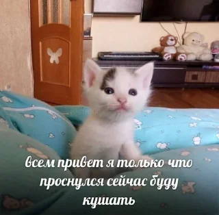 ☺️