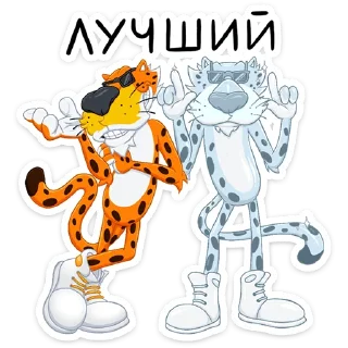 😎