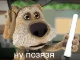🐶