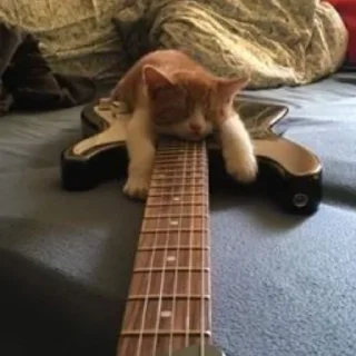 🎸