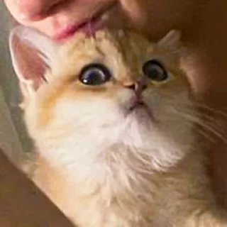 😳