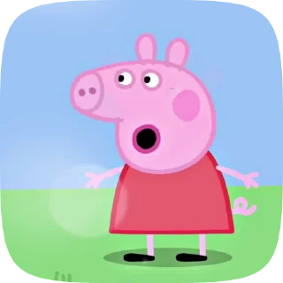 🐷