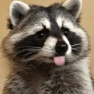🫥