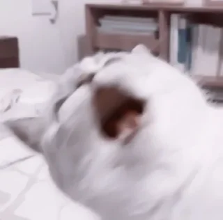 😨