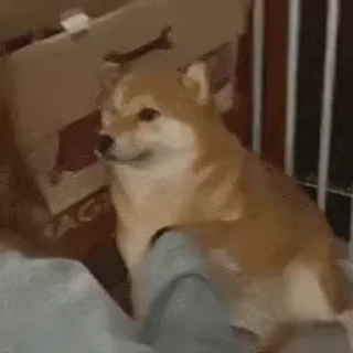 👊