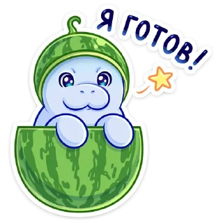 🍉