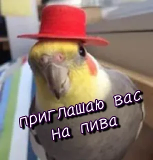 🍺