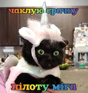 💫