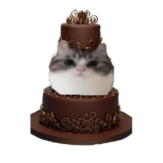 🎂