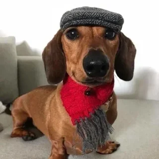 🧌