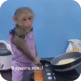 🍳