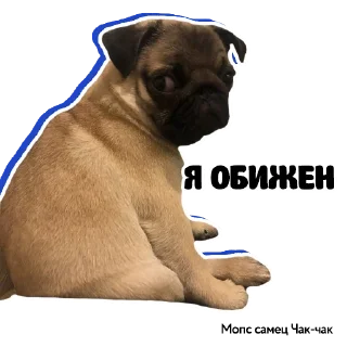 😥