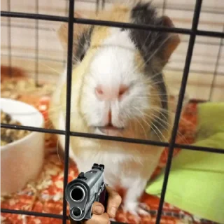 🐹