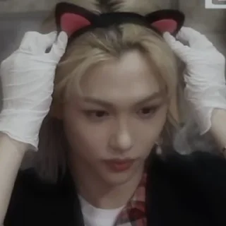 🐱