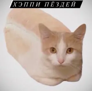 🥳