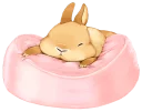 🐰