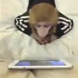📱
