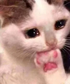 🥹