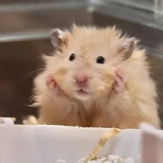 🙂