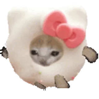 🐈