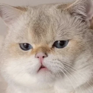 ☹️