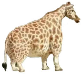 🦒