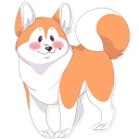 Akita