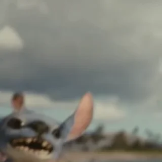 🌟