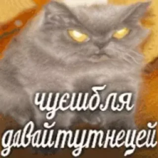 😡