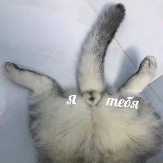 💜