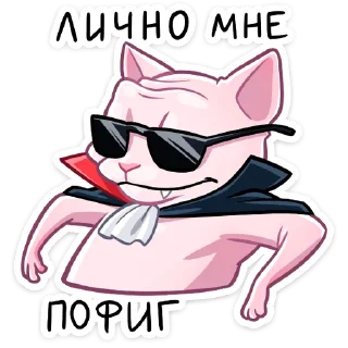 😎