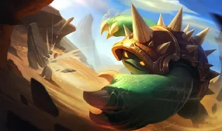 🐢