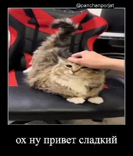 ⚡