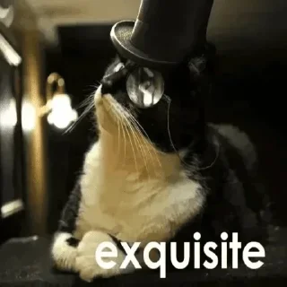 🎩