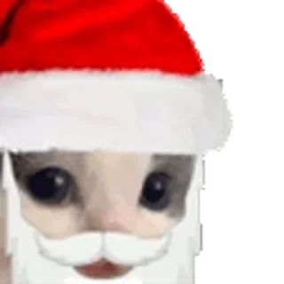 🎅