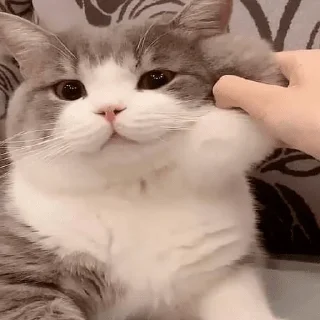 😘