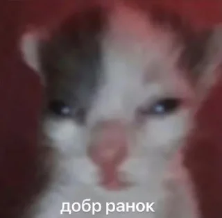 🥱