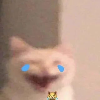 😂