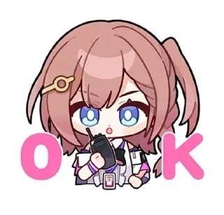 🌟