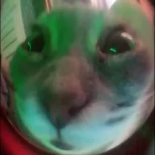 🍀