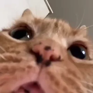 😳