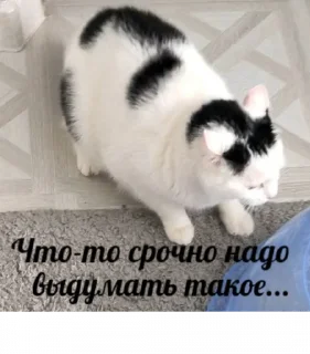 🤔