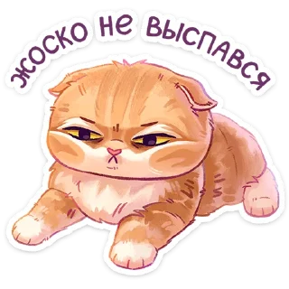 🥱