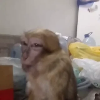 😁