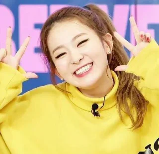 🖇