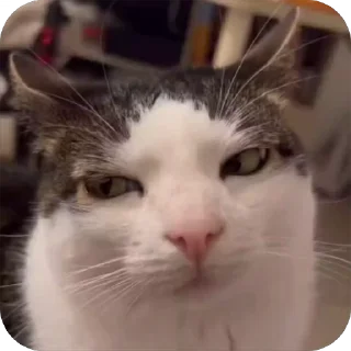 🤨