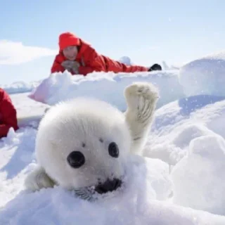 👋